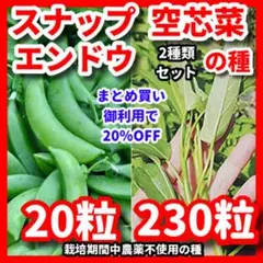 しんいち様 リクエスト 5点 まとめ商品