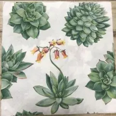 Item thumbnail for item 5aacc7dc-951f-434c-aeda-43da9729b628