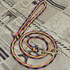 Item thumbnail for item 6ebb22c0-7b1e-420f-9acf-f2ec1266cd62