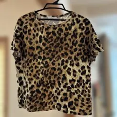 ZARA TRAFALUC レオパード柄 半袖Tシャツ・美品❣️のサムネイル