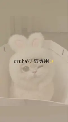uruha♡様専用ページ