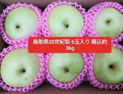 ⭕好評　宮崎県産　おじいちゃんの梨　サイズ形混合　箱込み約10キロ 20世紀梨7〜8玉入箱込約3kg。家庭用 - メルカリ