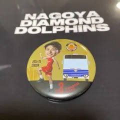 Item thumbnail for item c901e32c-299a-4ba3-ad25-23a6d0208143