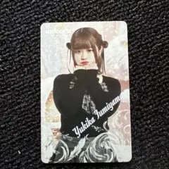 文山雪華プロ ダーツライブカード unicornくじ - メルカリ