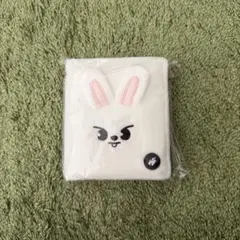Stray Kids リービット フォトカードケース