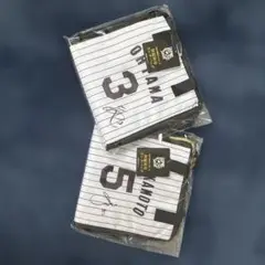 阪神タイガース　保冷　ランチバッグ　セット
