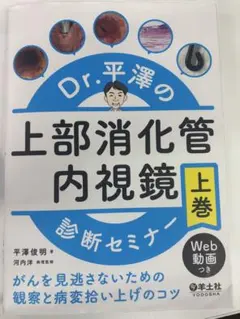 2026年最新】平澤 内視鏡の人気アイテム - メルカリ