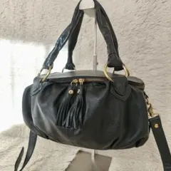 【極美品】DIANA・ダイアナ・2way・シボ革・ハンドバッグ・ショルダーバッグのサムネイル