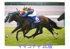 ママコチャ 2023年 スプリンターズステークス キャビネ判(2L版) 生写真