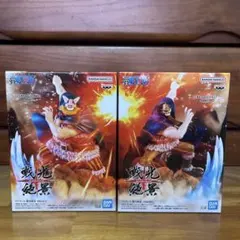 ワンピース　戦光絶景　ブロギー&ドリー