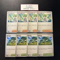 ミツルの思いやり　活力の森