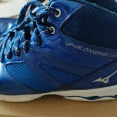 フィットネス　ジム　ダンス　24センチ　Mizuno Wave Diverse