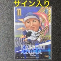 Leedragon2006様 リクエスト 2点 まとめ商品