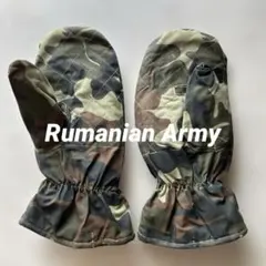 Item thumbnail for item 73277efb-dfe8-43f9-b184-b09ca60aca47