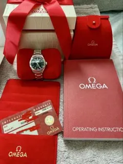 OMEGA Seamaster オメガ シーマスター アクアテラ レディース