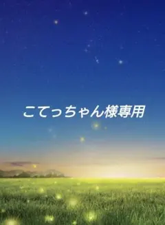 こてっちゃん様専用あつ森amiiboカード