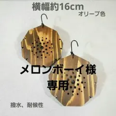 【メロンボーイ様おまとめ買い専用】着生板 ビカクシダ 九角形 オリーブ N013