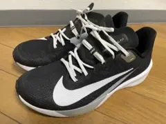 NIKE AIR ZOOM RIVALFLY4 ナイキ エアズームライバルフライ
