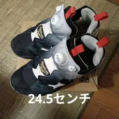Reebok INSTAPUMP FURY24.5【10/12までお値下げです】