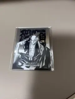 BLEACH ジャンプショップ メタリックマグネットコレクション第2弾 斑目