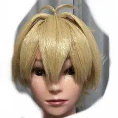 桜蘭高校ホスト部 コスプレ Mサイズ ウィッグセット ハニー先輩 三分妄想 桜蘭高校ホスト部 コスプレ ウィッグ ハルヒ・須王環・ハニー