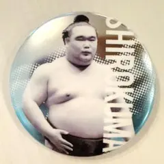 Item thumbnail for item 4d099ceb-740b-4034-b126-f98d8f841da5