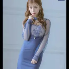 長袖 シアースリーブ フラワーレース バストカット 谷間魅せ タイトミニドレス