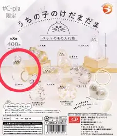 うちの子のけだまだま ペットの毛の入れ物【シャム】