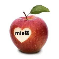 mie様 リクエスト 3点 まとめ商品