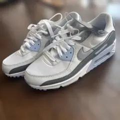 Nike Air Max 90 (25cm)