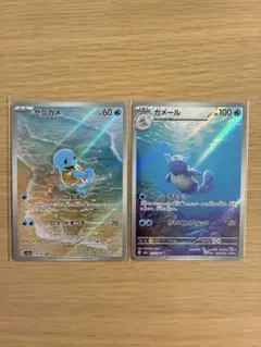 24時間以内発送。ゼニガメar カメールar