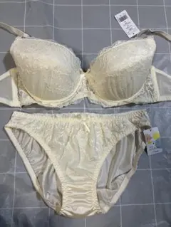 E80L フェアリー　レースのブラ＆ショーツセット　アイボリー