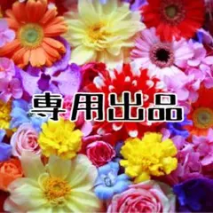 おにぎり様専用