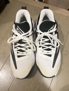 NIKE スニーカー　ランニングシューズ　27.5