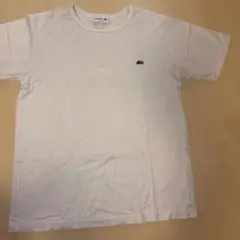 LACOSTE クラシックフィット ホワイト Tシャツ Mのサムネイル