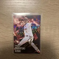 えいさん様 リクエスト 2点 まとめ商品