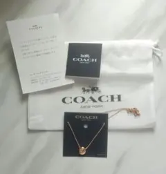 ブレスレット COACH クリスタル チェーンブレス シルバー F67072 