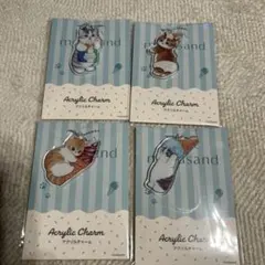 《モフサンド》アクリルチャーム☆全4種コンプリート mofsand猫の日限定商品