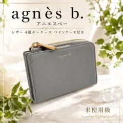 【極美品・付属品有】アニエスベー ボヤージュ ６連キーケース リング グレージュ 極美品・付属品有】アニエスベー ボヤージュ 6連キーケース リング