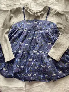 Item thumbnail for item d4561ebc-1f2f-4081-bf75-c44648edf48e