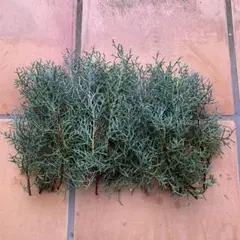 即発送　リース花材　ブルーアイス