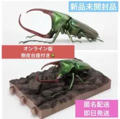 いきもの大図鑑　かぶとむし09 カブトハナムグリ　グリーン　オンライン限定　新品
