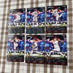 カルビー　プロ野球チップス