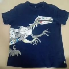 Item thumbnail for item 5aa9f337-bf78-4c0e-b40a-91eccb75b811