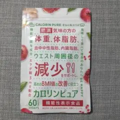 Item thumbnail for item 675cfe00-b657-4ed7-8233-1d2205153b20