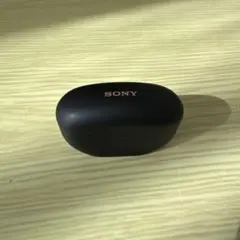 ポ*ラ様 SONY イヤホンケース ブラック(注ケースのみ