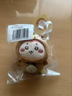 たぬきだもんくじ 古本屋