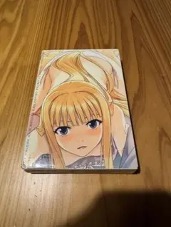 TVドラマ 魔法先生ネギま! DVD-BOX 全巻セット 1-3学期 完結 希少