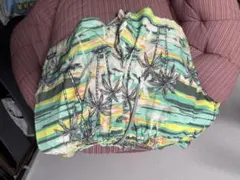 Item thumbnail for item 2d7406d7-29ef-47a8-b112-c75b90e29698