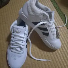 Item thumbnail for item 8342de4b-652d-404a-a541-fa3f1a37a682